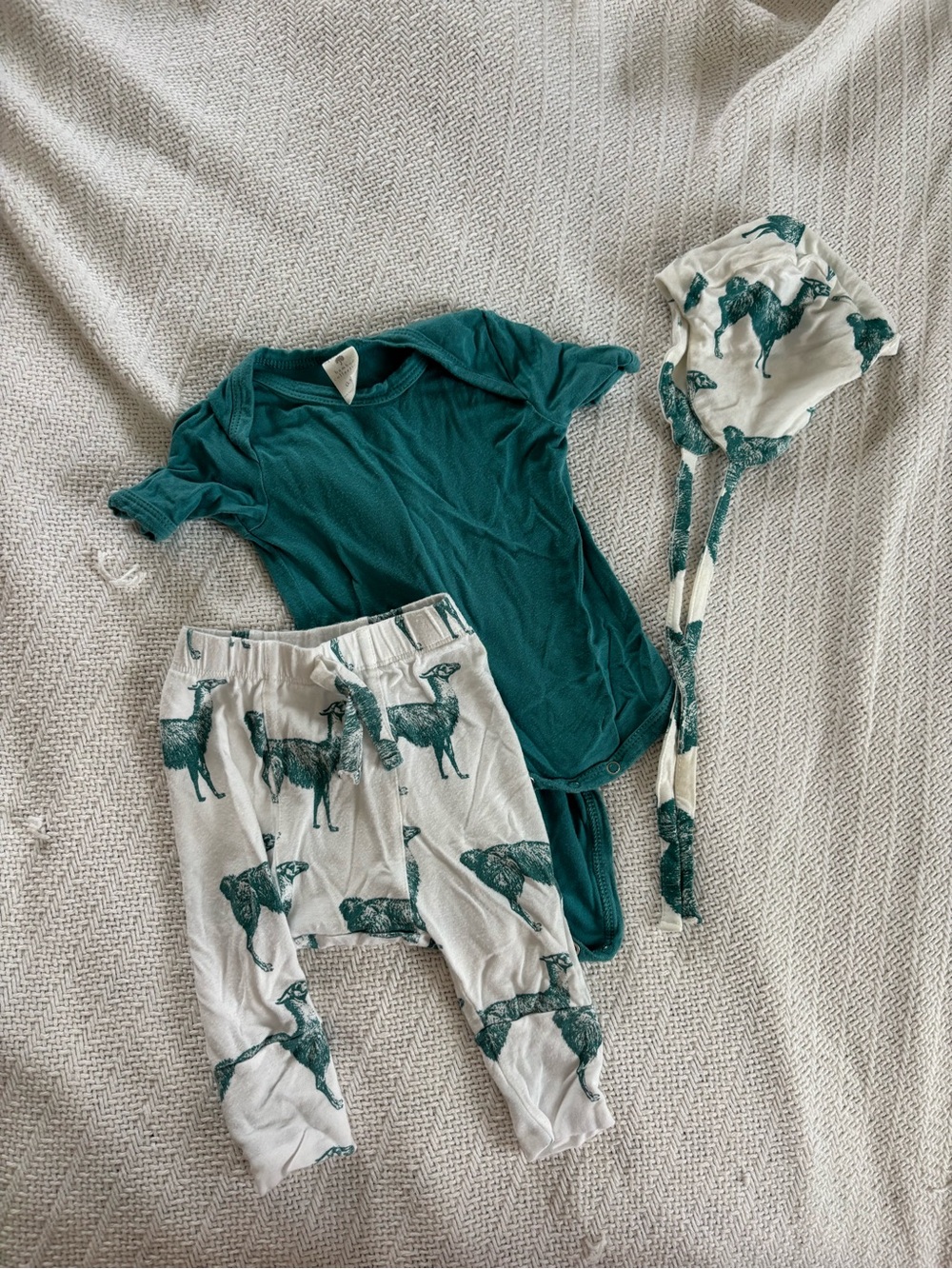 kate quinn teal bodysuit with Llama panda pant and matching hat